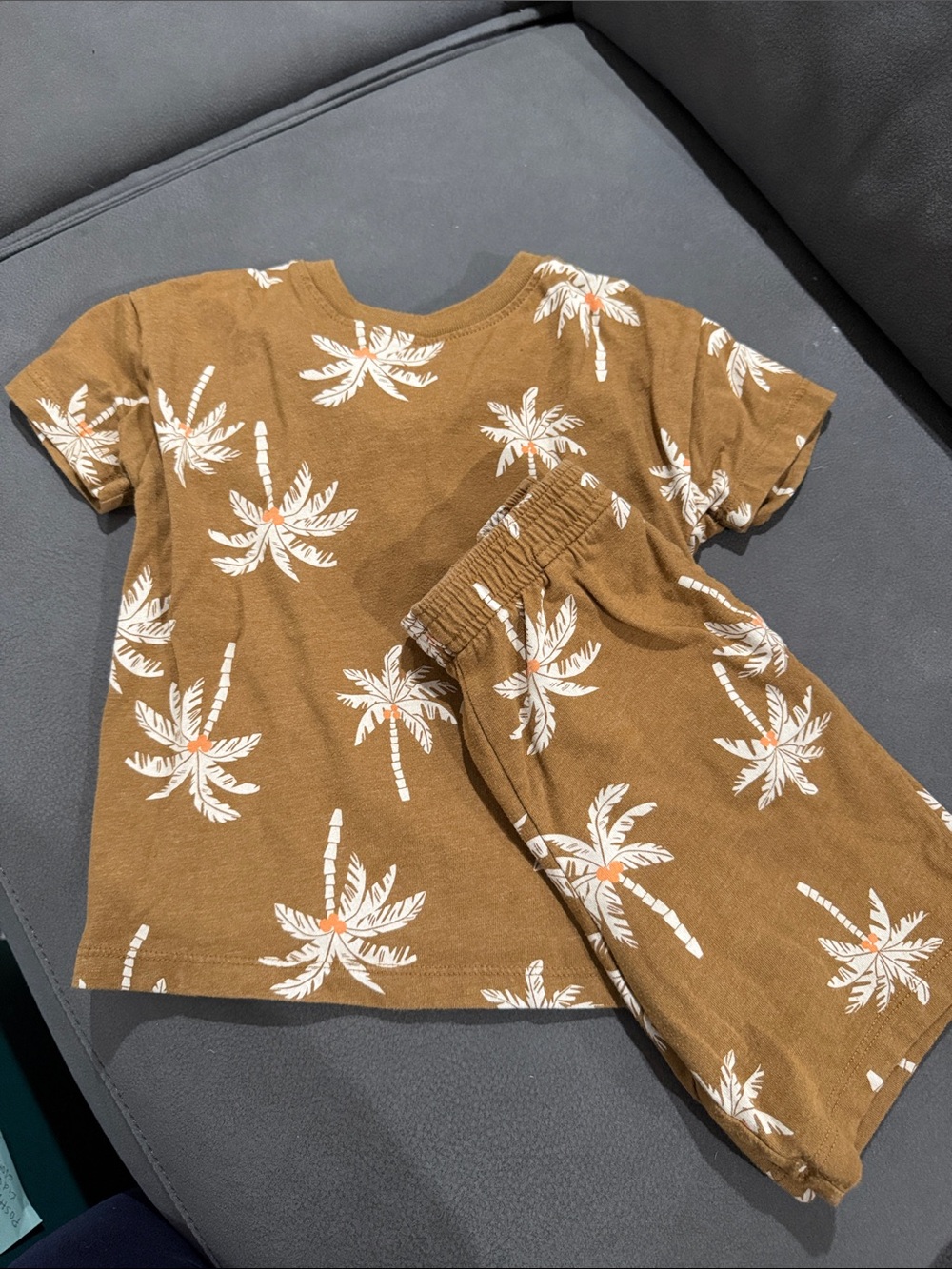 wonder nation Brown Palm Print Tee & Shorts Set